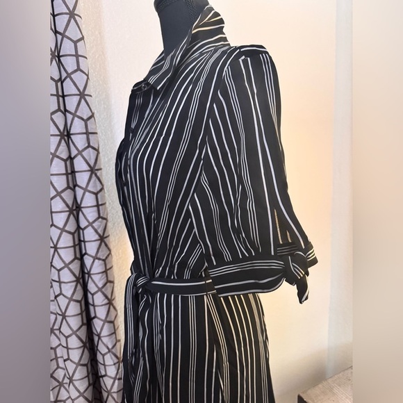 Calvin Klein Pinstripe Shirt Dress - Picture 3 of 4